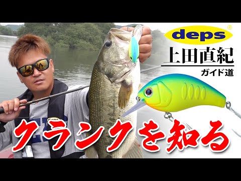 ボアコンストリクターについて詳しく解説