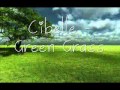 Cibelle - Green Grass 