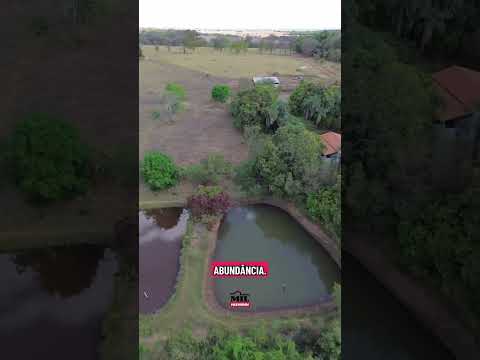 Chácara à venda e, Piracanjuba 5,5 Alqueires 26,6 hectares, dupla aptidão #chacaraavenda #pecuaria