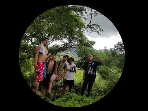 Camping Memoire - Pope Graas