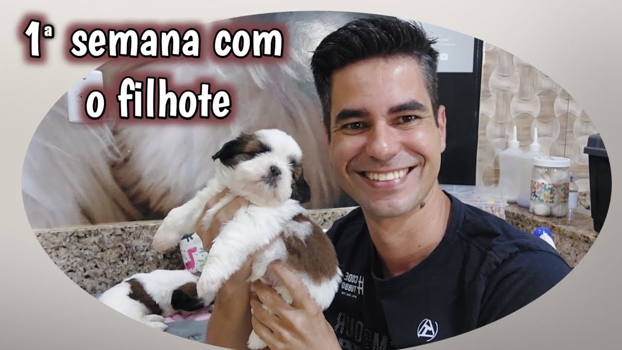 1 semana com o filhote;  O que fazer?
