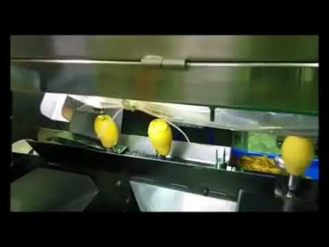 Mango Peeling Machine 200KG/H