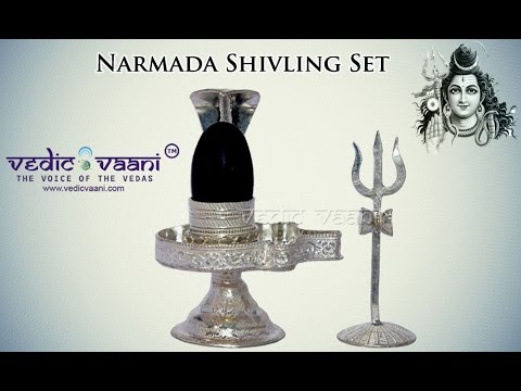 Narmadeshwar Shivling with Pure Silver Yonibase & Snake video