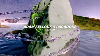 Adam Sellouk - Internal video