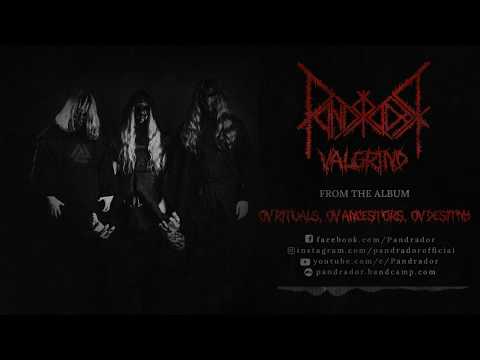 PANDRADOR - Valgrind (2020) VISUALIZER VIDEO