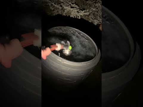 Баня мощнее спортивных добавок? Вот что происходит с телом