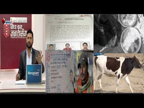 अर्काको गाइ चोरि काटेर भोज लगाउने पक्राउ,नक्कली नागरिकता बनाउने ठाउँमा हाम्रो स्टिङ अपरेसन !