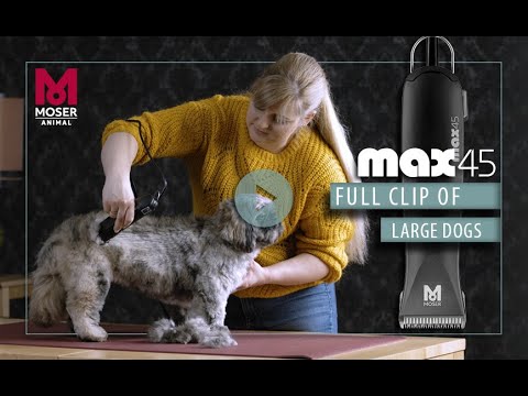 Moser Max 45 Schermaschine