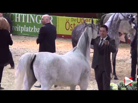 Wels 2015 - Class 23