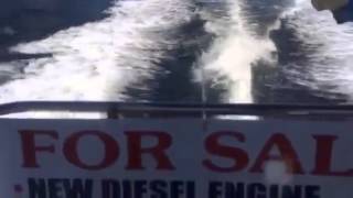 1988 Cape Dory Flybridge Sportfish Cruiser in Boca Raton, FL