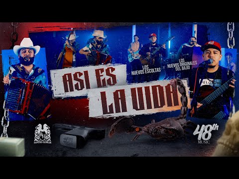 Los Nuevos Escoltas x Los Originales Del Bajio - Asi Es La Vida [En Vivo]