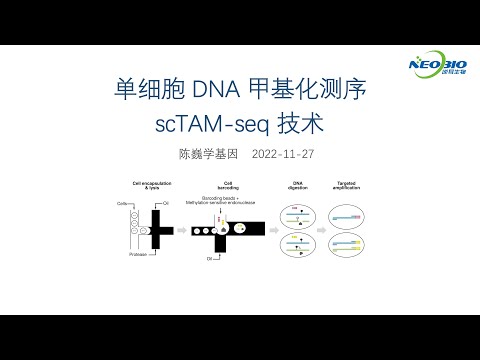 【陈巍学基因】第97期：单细胞 DNA 甲基化测序技术 scTAM-seq