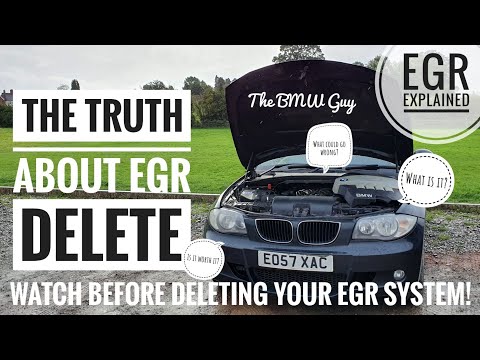 The *TRUTH* about EGR Delete! - Everything you need to know about this Mod!