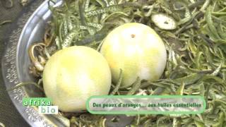 Des peaux d'orange, aux huiles essentielles. (#030)