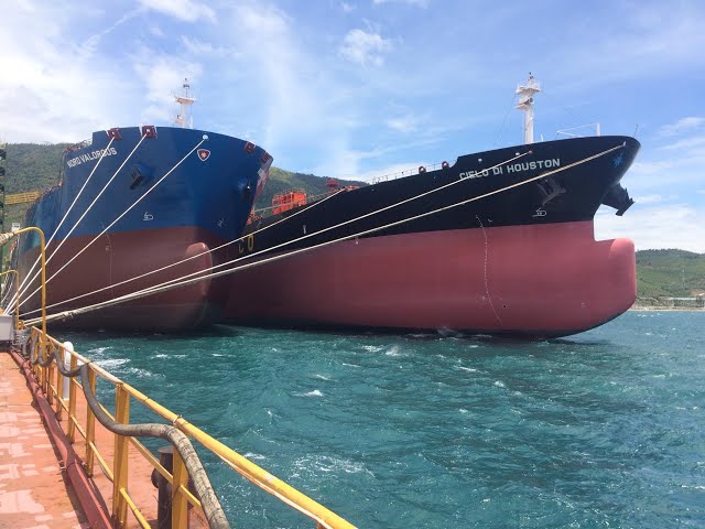 Nam Triệu hạ thuỷ tàu hàng 65k lớn nhất từ trước tới nay