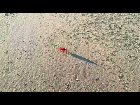 soula beach 2 ⛱️##⛱️