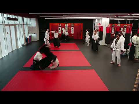 2025-02-15: Ed Germanov Sensei (Bulgarian Aikido Assoc.) Seminar Day 3 - Great Final Session