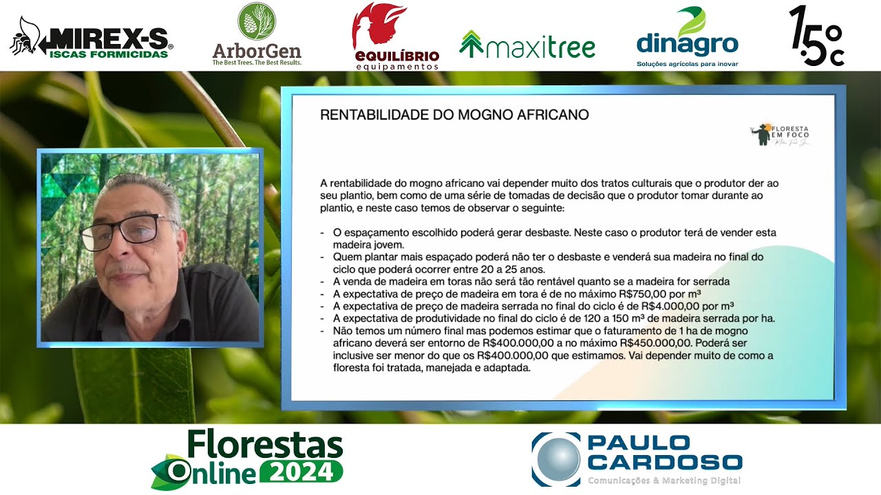 A realidade do mogno africano no Brasil - Florestas Online 2024