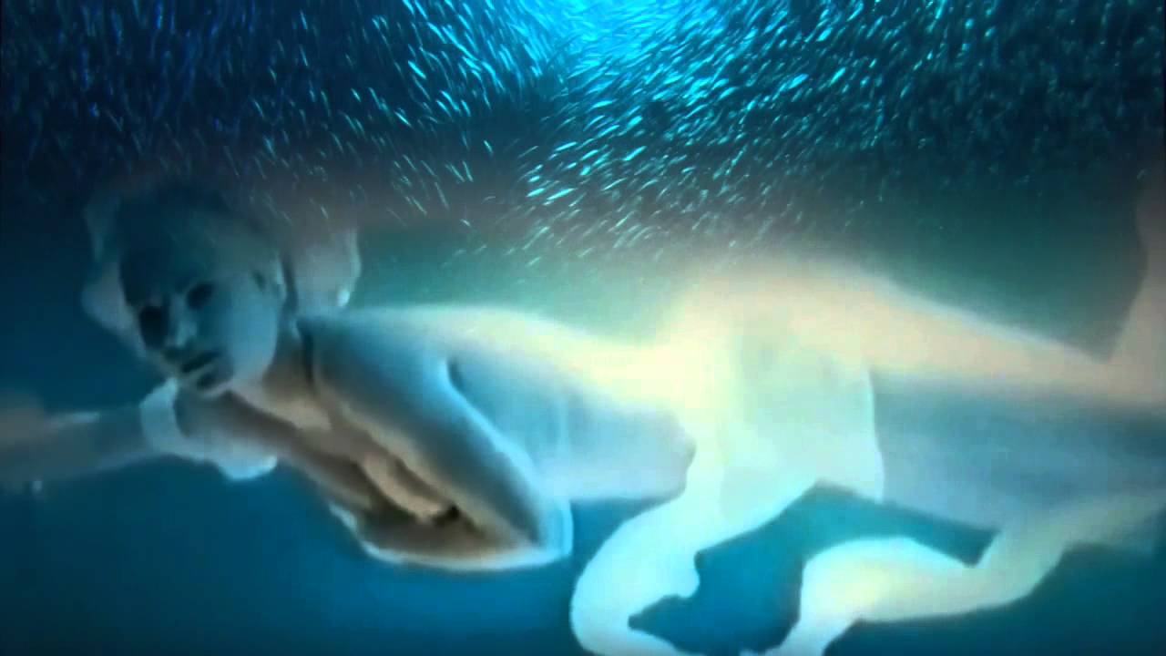 ��������� ����� �� ����� - ��� ������ ����