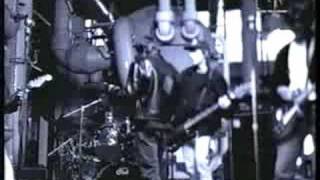 Gin Blossoms Day Job