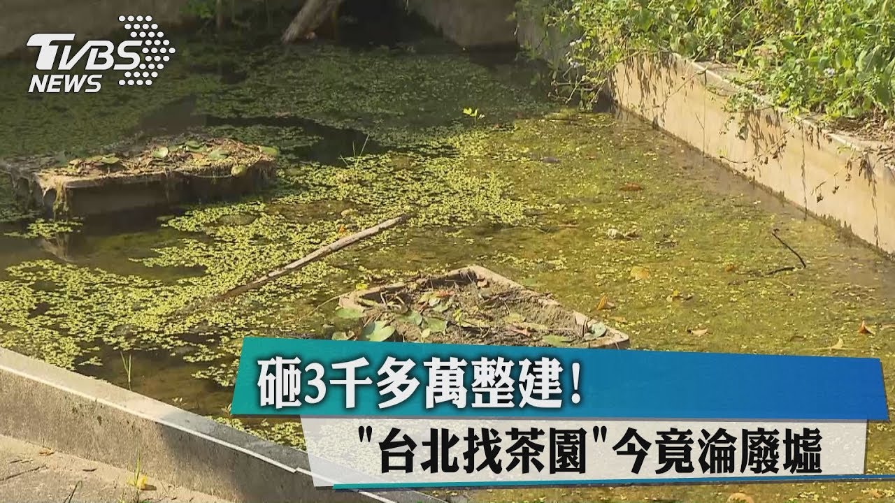 砸3千多萬整建! 「台北找茶園」今竟淪廢墟