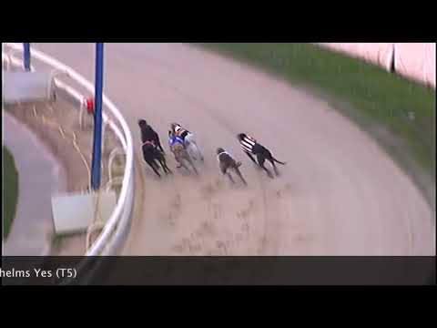 Signet Denver   Laurels semi