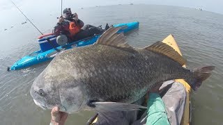 Kayak Fishing Dreams: Big Striper and Black Drum!