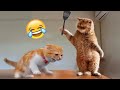 Funniest Animals 2024 New Funny Cats And Dogs Videos Part