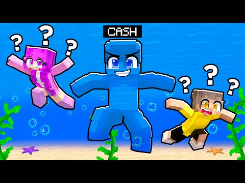 Hide & Seek ONE COLOR CAMOUFLAGE Challenge (Minecraft)