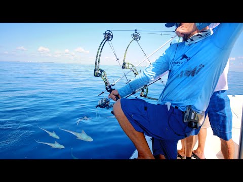 Bow Fishing for Tuna Fish