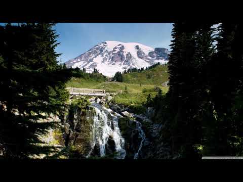 Rene Ablaze & Diana Leah - Don't Turn Away (Ryan K Remix) [Nocturnal Knights]