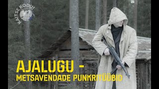 Ajalugu - Metsavendade punkritüübid
