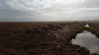 preview picture of video 'Landscape and bird watching'