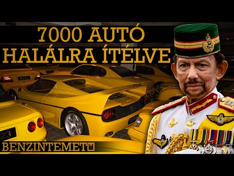 A világ legértékesebb autógyűjteménye, ami egy erdő mélyén rohad