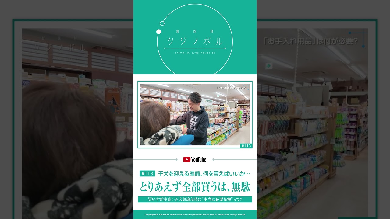 【保存版】買いすぎ注意！子犬お迎え時に“本当に必要な物”【獣医師ツジノボル】 #犬のいる暮らし #犬のいる生活 #獣医師ツジノボル