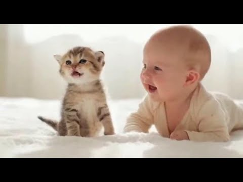 “Heart to Heart | A Baby and a Baby Kitten Talking in Love”