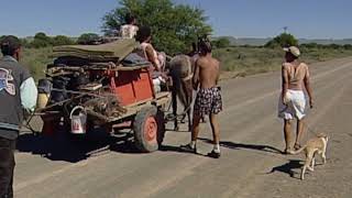 Unveiling the Karoo's Karretjie Mense Tradition