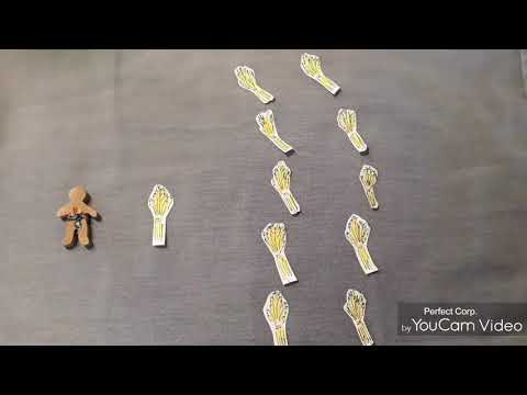 Teil 4 Joseph und seine Brüder