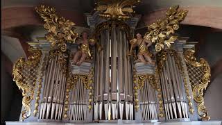 Orgel Ottensoos Benoist Grand Choir