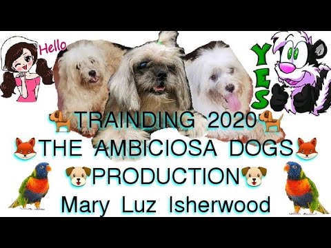 The Ambiciosa Dog Part 2 |Mary Luz Isherwood