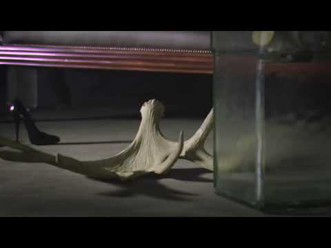 Bertie Blackman - Thump (Official Video Clip)