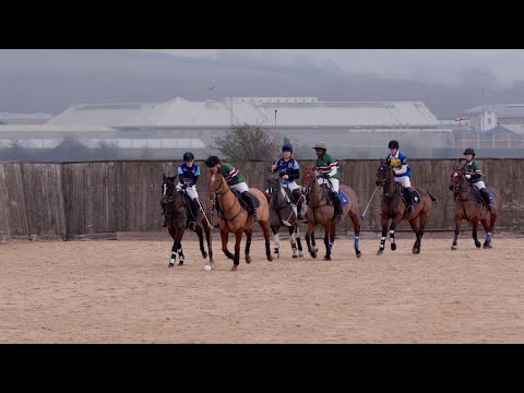 Fifty Shades of Neigh V Glynn's Silly Fillies, 0 to 3, Sunday 9th Feb 2025