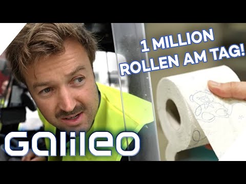 1,000 rolls of toilet paper per minute: How stressful is the job in a toilet paper factory | Galileo