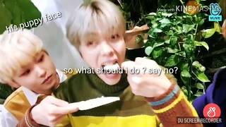 WHY YOU SHOULD LOVE NEWKIDD ❤