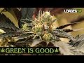 Weed Farmer Green Is Good Ep 1 Loaded Up