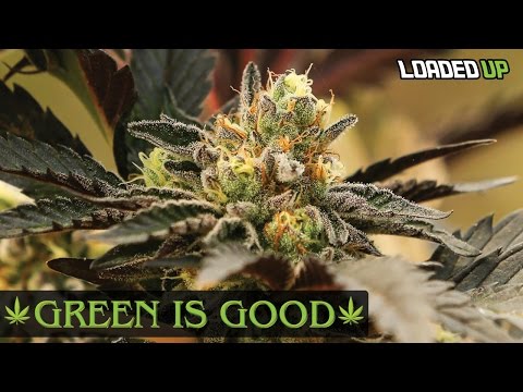 download lagu mp3 mp4 Www Weedfarmer Com, download lagu Www Weedfarmer Com gratis, unduh video klip Www Weedfarmer Com