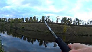 Самая лучшая наживка на щуку