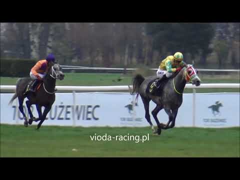 Gon. VI - 12.11.2017 - Zorman Bad (Amarant - Zenica)