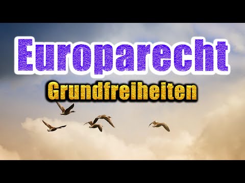 The 4 fundamental freedoms of the EU - European law 12