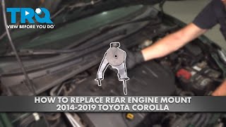 How to Replace Rear Engine Mount 2014-2019 Toyota Corolla